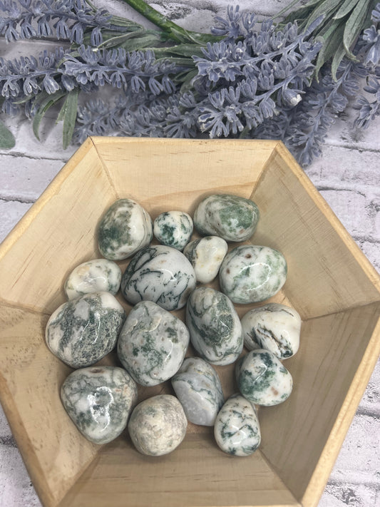 Tree Agate Tumbles