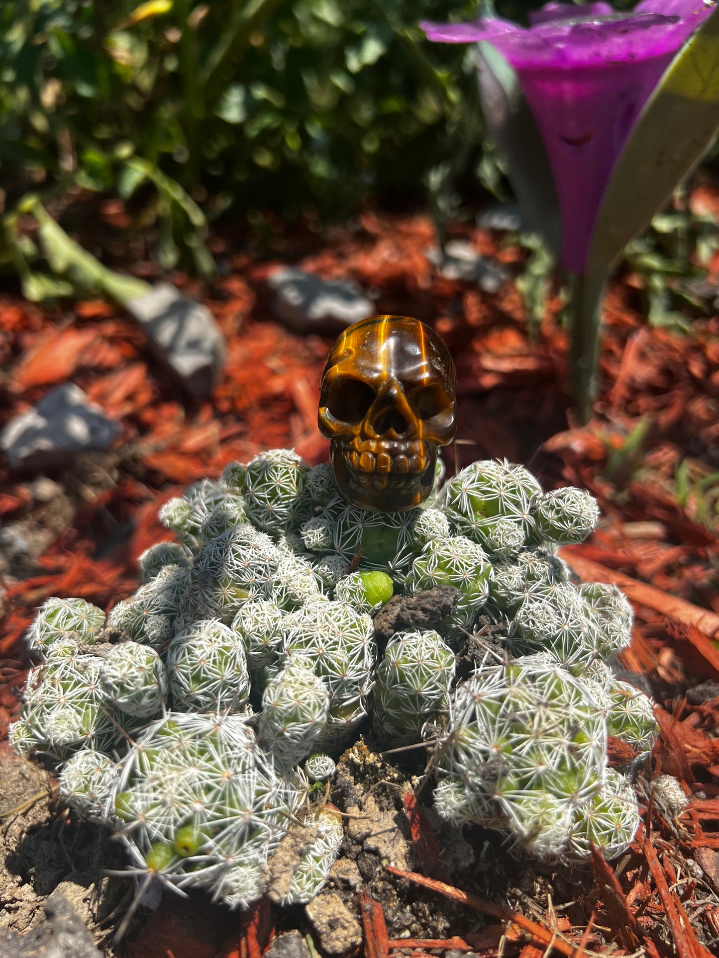 Crystal Skulls