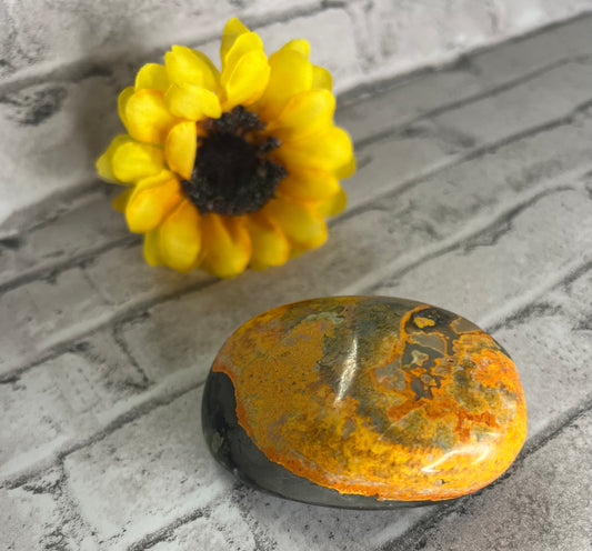 Bumblebee Jasper Palm Stones