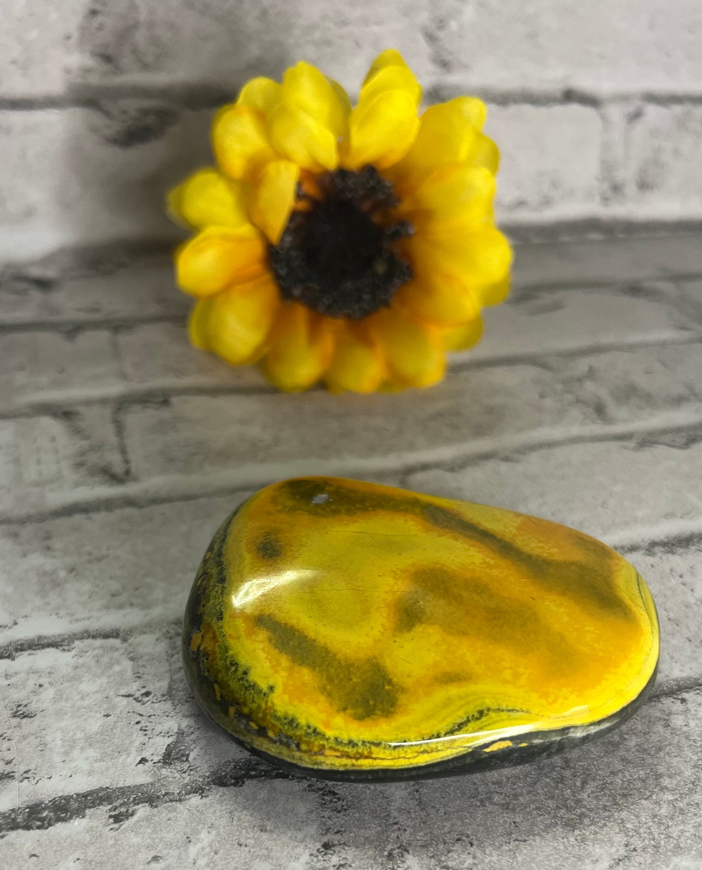 Bumblebee Jasper Palm Stones